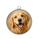 Pendentif Cabochon Argent - chien