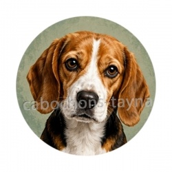 chien