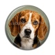 Cabochon Résine - chien