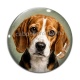 Cabochon Verre - chien