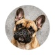 chien