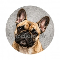 chien