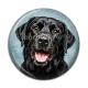Cabochon Résine - chien