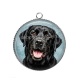 Pendentif Cabochon Argent - chien