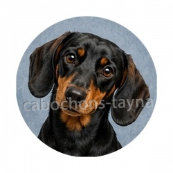 chien