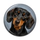 Cabochon Résine - chien