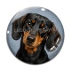 Cabochon Verre - chien