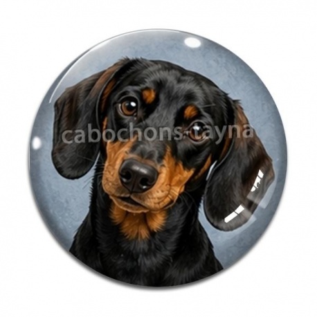 Cabochon Verre - chien