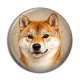 Cabochon Résine - chien
