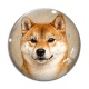 Cabochon Verre - chien