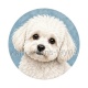 chien