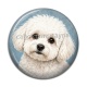 Cabochon Résine - chien