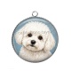Pendentif Cabochon Argent - chien