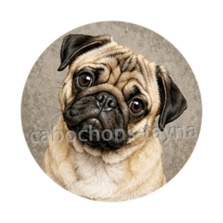 chien