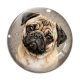 Cabochon Verre - chien
