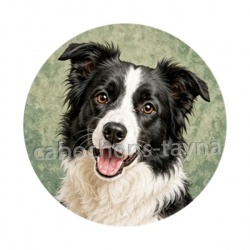 chien