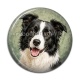 Cabochon Résine - chien