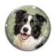 Cabochon Verre - chien