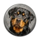Cabochon Résine - chien