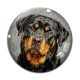 Cabochon Verre - chien