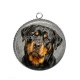 Pendentif Cabochon Argent - chien