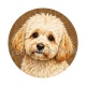 chien