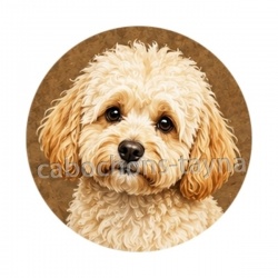 chien