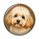 Cabochon Résine - chien