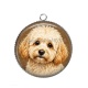 Pendentif Cabochon Argent - chien