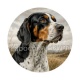 chien