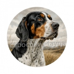 chien