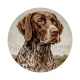chien