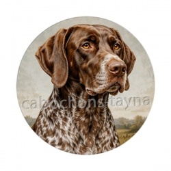 chien