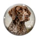 Cabochon Verre - chien
