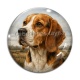 Cabochon Verre - chien