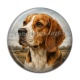 Cabochon Résine - chien