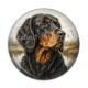 Cabochon Résine - chien