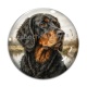 Cabochon Verre - chien