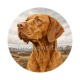 chien