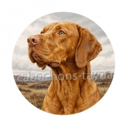chien