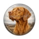 Cabochon Résine - chien