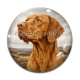 Cabochon Verre - chien
