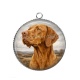 Pendentif Cabochon Argent - chien