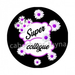 super collègue