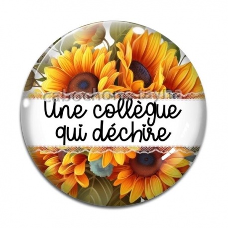 Cabochon Verre - une collègue qui déchire
