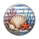 Cabochon Résine - étoile coquillage de mer