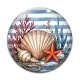 Cabochon Verre - étoile coquillage de mer