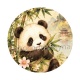 panda