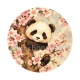 panda