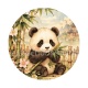 panda
